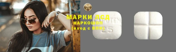 гидропоника Алексин