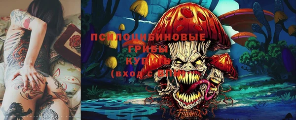 соль курить ск Алзамай